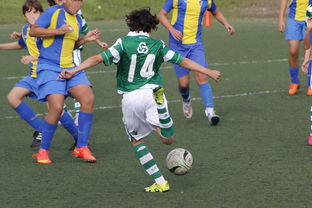 爱游戏娱乐-中国足球亚冠:上海申花逆转晋级,燃爆现场热潮,亚冠小组赛上海申花