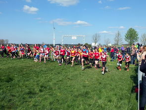 爱游戏智能体验-中国篮球青少年篮球发展政策落实与推广，中国青少年篮球发展现状